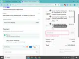 SPRING25 coupon verification screenshot