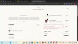 Lyons Leather Co. coupon verification screenshot