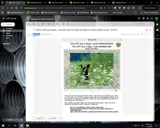 MAD Maps coupon verification screenshot