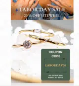 LABORDAY20 coupon verification screenshot