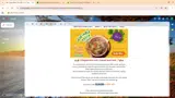 FLAVOR coupon verification screenshot