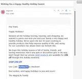 Holiday20 coupon verification screenshot