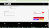 BlackFriday coupon verification screenshot