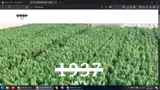 VORE15 coupon verification screenshot