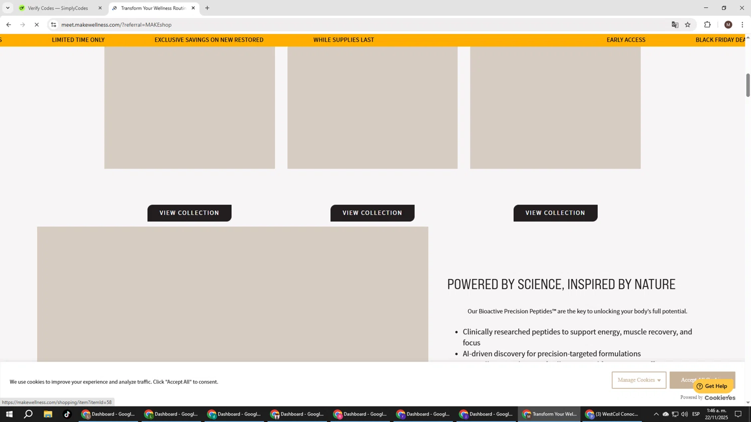 MAKE Wellness checkout page showing MAKE Wellness promo code box | Screenshot taken by SimplyCodes community member on Nov 22, 2025