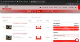 Mammoth Outlet coupon verification screenshot