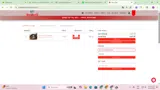 Mammoth Outlet coupon verification screenshot