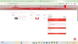 Mammoth Outlet coupon verification screenshot