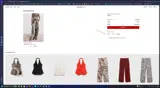 Mango Outlet coupon verification screenshot