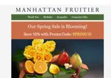 SPRING10 coupon verification screenshot