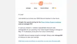 chicago300 coupon verification screenshot