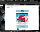 Mary Meyer coupon verification screenshot