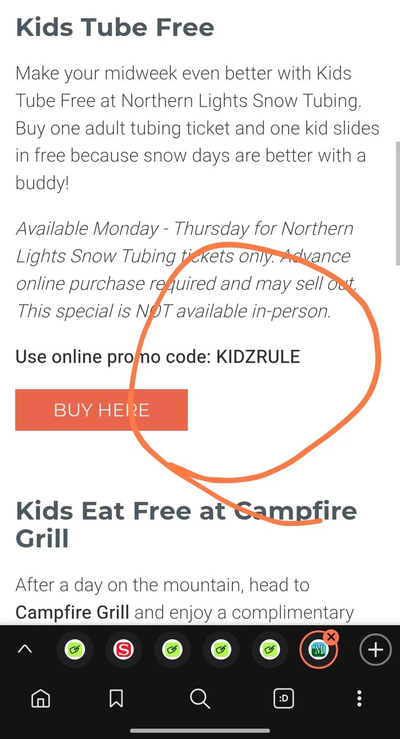 Massanutten Resort promo code screenshot showing code KIDZRULE applied at Massanutten Resort checkout page. Uploaded by SimplyCodes community member Dejadepicharme on Jan 15, 2026