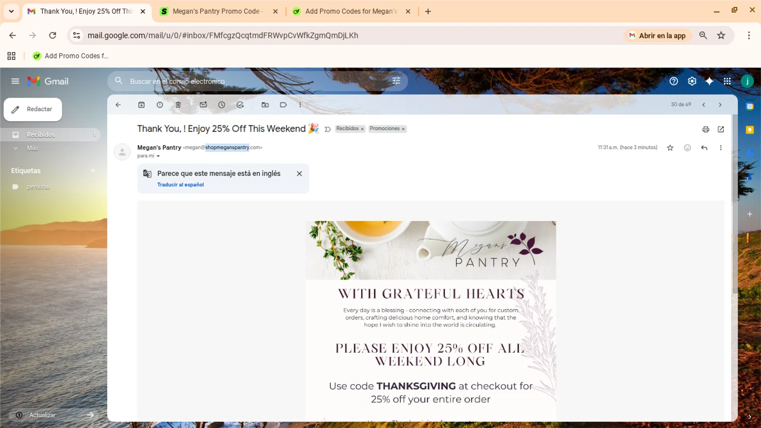 Megan's Pantry promo code screenshot showing code THANKSgiving applied at Megan's Pantry checkout page. Uploaded by SimplyCodes community member yennifergonzalez on Nov 27, 2025