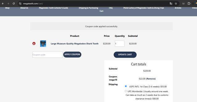 MegaTeeth checkout page showing MegaTeeth promo code box | Screenshot taken by SimplyCodes community member on Jun 17, 2025