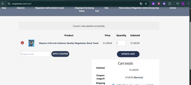 MegaTeeth checkout page showing MegaTeeth promo code box | Screenshot taken by SimplyCodes community member on May 27, 2025