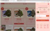 Melt Official coupon verification screenshot