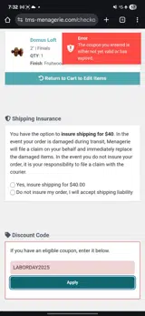 LABORDAY2025 coupon verification screenshot