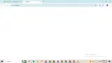 CARISA coupon verification screenshot