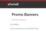 Merriam Webster coupon verification screenshot