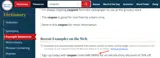 Merriam Webster coupon verification screenshot