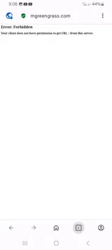 SALEMONEYGIFT coupon verification screenshot