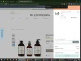 UNITED coupon verification screenshot