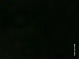 cupon1 coupon verification screenshot