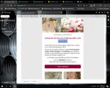 Michael Michaud coupon verification screenshot