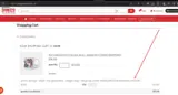 Mike's Camera coupon verification screenshot