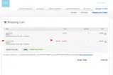SPRING20 coupon verification screenshot