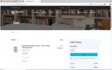 DAN111 coupon verification screenshot