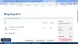 AMERICA10 coupon verification screenshot