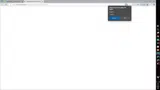 Minnesota Twins coupon verification screenshot