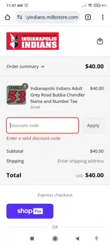 Minor League Baseball coupon verification screenshot