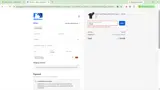 Minor League Baseball coupon verification screenshot