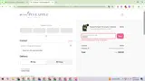 Mint Pineapple Boutique coupon verification screenshot