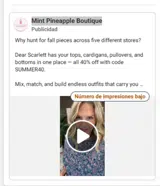 Mint Pineapple Boutique coupon verification screenshot