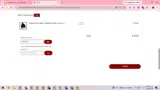 Mirvish Life of Pi coupon verification screenshot