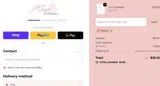 Mish Esthetics coupon verification screenshot