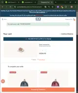 THEVIETVEGAN10 coupon verification screenshot