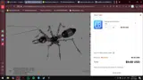 12NOWU coupon verification screenshot