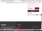 Mississippi State Bulldogs coupon verification screenshot