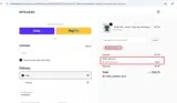 BIGTHANKS25 coupon verification screenshot