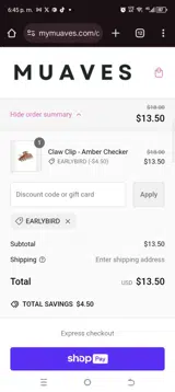 Earlybird coupon verification screenshot