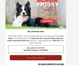 BLACKFRIDAY coupon verification screenshot