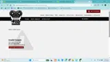 PICPLUGS coupon verification screenshot