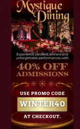 WINTER40 coupon verification screenshot