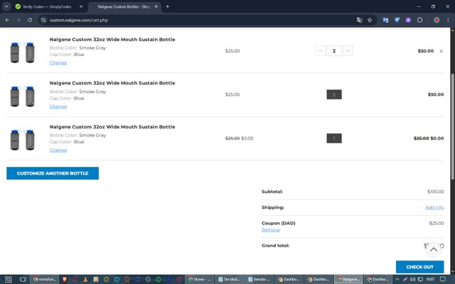Nalgene checkout page showing Nalgene promo code box | Screenshot taken by SimplyCodes community member on May 30, 2025