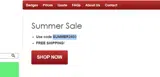 SUMMER2403 coupon verification screenshot